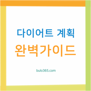 다이어트 계획 완벽 가이드