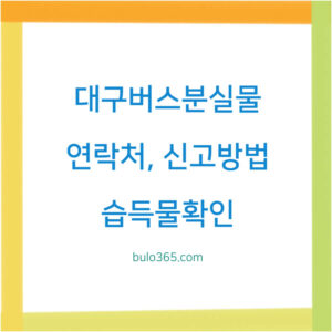 대구 버스 분실물 찾기, 연락처, 신고방법