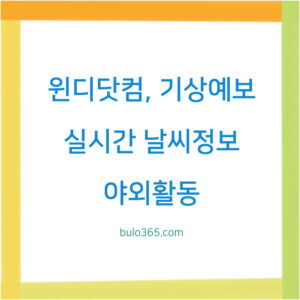 윈디닷컴 기상예보, 실시간 날씨정보, 야외활동 최적화 도구 및 모바일앱 활용법