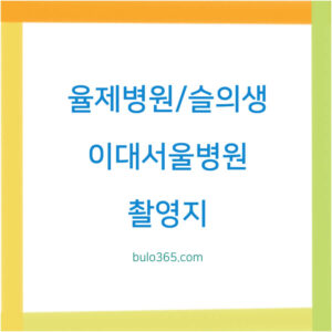 율제병원 홈페이지, 슬의생 촬영지, 이대서울병원 위치 및 특징
