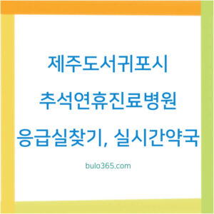 제주도 서귀포시 추석연휴 진료병원, 응급실찾기, 실시간 약국검색 방법