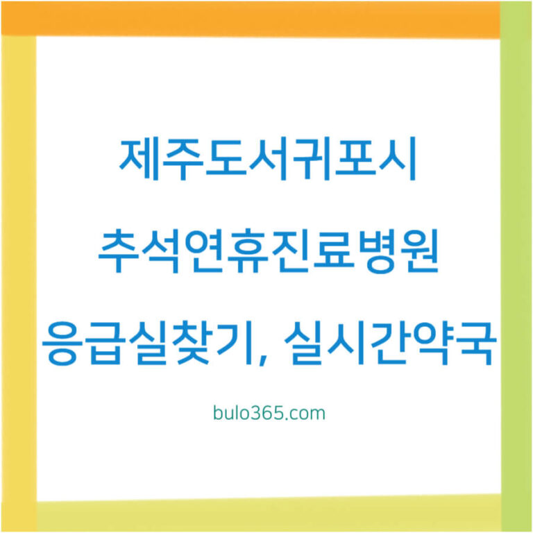 제주도 서귀포시 추석연휴 진료병원, 응급실찾기, 실시간 약국검색 방법