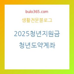 2025 청년지원금 총정리,취업지원,주거지원 및 창업자금 완벽가이드