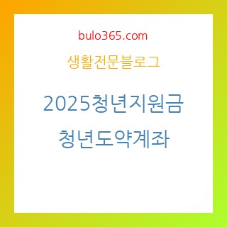 2025 청년지원금 총정리,취업지원,주거지원 및 창업자금 완벽가이드