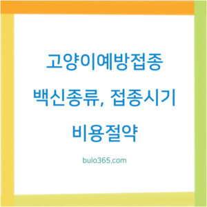 고양이 예방접종 시기별,백신종류,비용절약 완벽 가이드