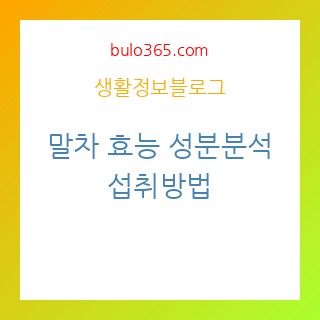 말차 효능,성분분석,섭취방법 및 건강관리 활용법