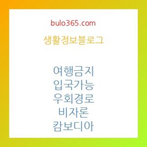 여행금지 됐는데 ‘입국 가능’, 우회 경로와 비자론의 허점