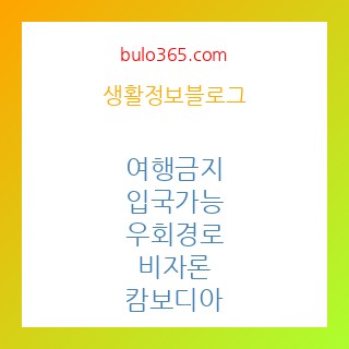 여행금지 됐는데 ‘입국 가능’, 우회 경로와 비자론의 허점