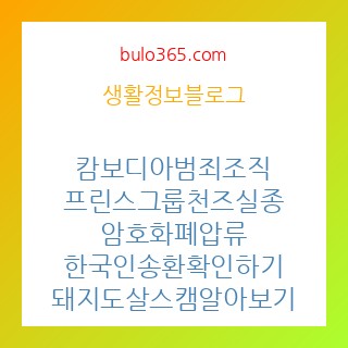 캄보디아 범죄조직 총수 실종, 미영 21조 암호화폐 압류, 한국인 64명 송환