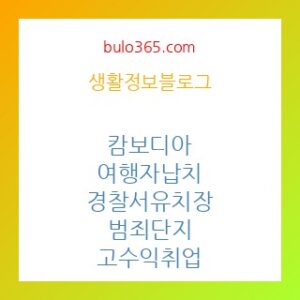 캄보디아 여행금지, 납치감금 실태, 범죄조직 현황 및 안전대책