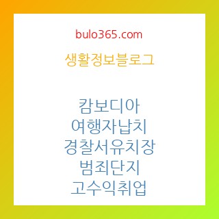 캄보디아 여행금지, 납치감금 실태, 범죄조직 현황 및 안전대책